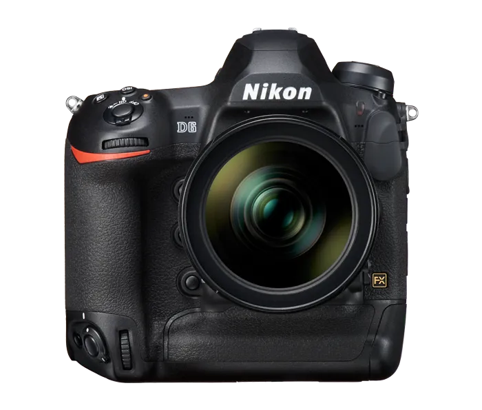 5 Most Popular Cameras Among Award-Winning Photojournalists