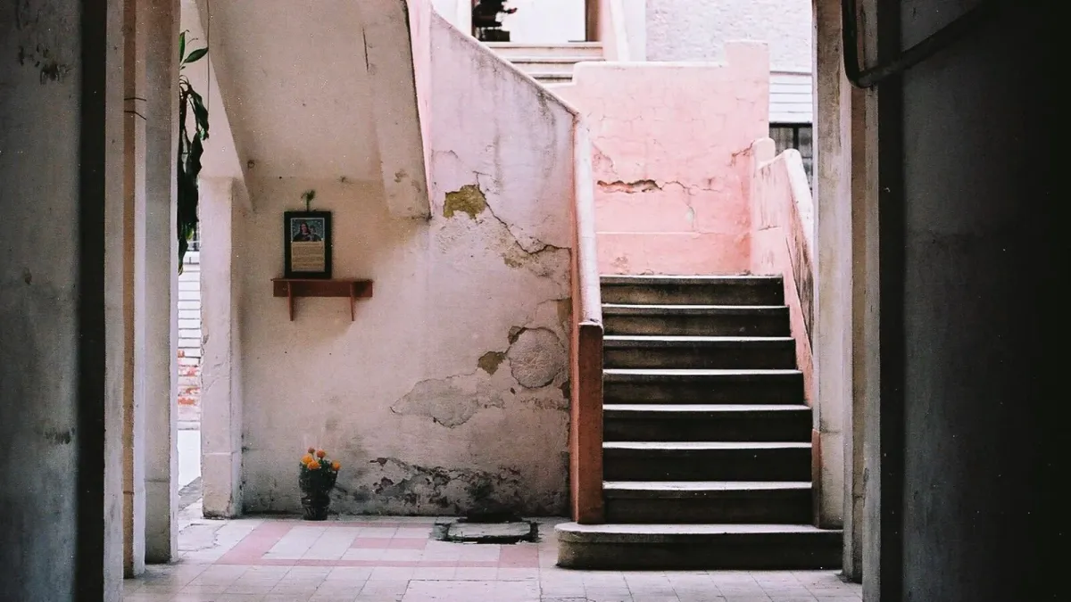 Kodak Portra 400